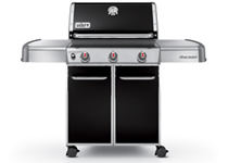 Genesis® E-310™