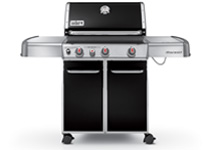 Genesis® E-330™